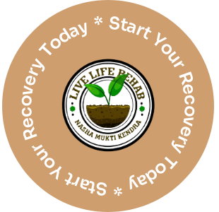 Wellness Support